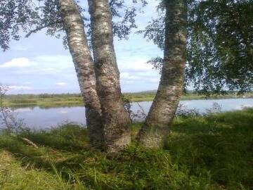 Фото номера Дом для отпуска Дома для отпуска Holiday Home Riekkoranta г. Tanhua 10