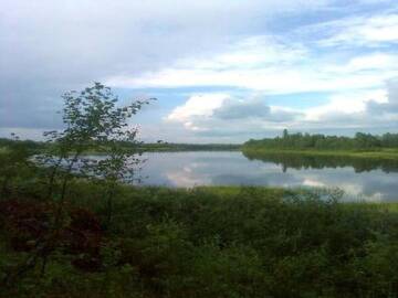Фото номера Дом для отпуска Дома для отпуска Holiday Home Riekkoranta г. Tanhua 42